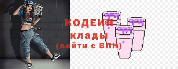экстази Ельня